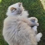 Robyn Maher - @robyn_9799 - Instagram