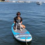 Robin Main - @robin_main - Instagram