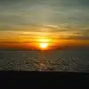 robyn.main - @robynmainn - TikTok