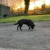 Robin Major138 - @robin.major138 - TikTok