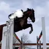 robynmajor - @robynmajor5 - TikTok
