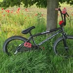 Robin Málek - @bobik_bike - Instagram