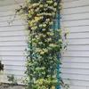 Robin Mansfield - @robin.mansfield1 - TikTok