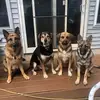 robynmartin857 - @robynmartin857 - TikTok