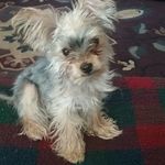 Robin Matlock - @robin.matlock.58 - Instagram