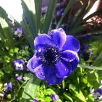 Robin Matson - @robin____matson2020 - Instagram