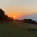 Robyn Mattingly - @robyn_mattingly - Instagram