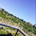 Robyn Maynard-brewer - @robynmaynardbrewer - Instagram