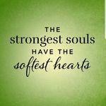 Robyn Mays - @voiceforcompanionanimals - Instagram