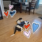 Robyn Mays - Facebook