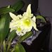 Robyn McBride - Facebook