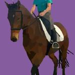 Robyn McCabe - @xox.horse_edits.xox - Instagram