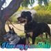 Robyn McCann - Facebook