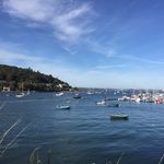 Robyn Mccarthy - @robyn_mccarthy5 - Instagram