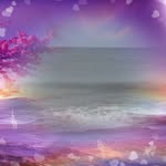 Robin McCartney - @robinmccartney1 - Instagram
