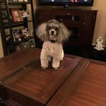 Robin McClain - @robin.mcclain.921 - Instagram