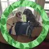 Robin McClain Price - @robin.mcclain.pri - TikTok