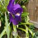 Robyn McClelland - Facebook