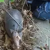 robinmccool - @robinmccool - TikTok