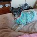 Robyn McCormack - Facebook