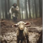 Robin McCormick - Facebook