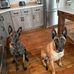 Robin McDonald - Facebook