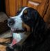Robyn Scott McDowell - Facebook