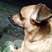 Robyn McElroy - Facebook