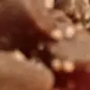 Robin McFadden - @robin.mcfadden5 - TikTok