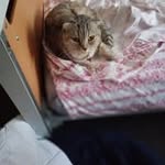 Robyn Mcgarry - @robyn52826 - Instagram