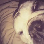 robin mcginnis - @mcginnis4905 - Instagram
