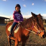 Robin McGinnis - @horse_gal_texas45 - Instagram