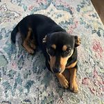 Robin McGinnis - @robinmcginnis2016 - Instagram