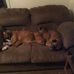 Robin McGinnis - @frobutterfly1 - Instagram