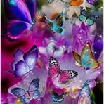 Robyn Mcgowan - Facebook