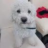 robynmcgrath16 - @robynmcgrath16 - TikTok