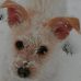 Robyn Meyer - Facebook