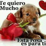 Robin Meza - Facebook