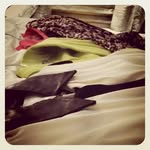 Robin Meza - @difmafoulygmalcpur34 - Instagram