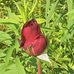 Robin Miner - Facebook