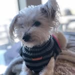 Robin Moffat - @robin.moffat.355 - Instagram