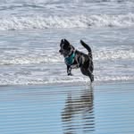 Robin Monaghan - @robinm1026 - Instagram
