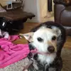 robyn_monaghan - @robyn_monaghan - TikTok