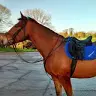 Robyn Montgomery - @robynmontgomery0 - TikTok