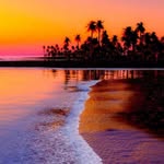 Robin Mosley - @robin.mosley.7374 - Instagram