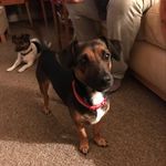 Robyn Murray - @robynemurray3 - Instagram