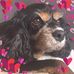 Robyn Nixon - Facebook