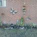 Robyn Parkes - Facebook