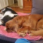 Robyn Parkes - @robyn.parkes.336 - Instagram