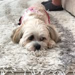 Robyn Payne - @robynpayne47 - Instagram